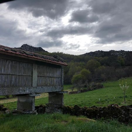 Apartmán A Casa Do Chico Ourense Exteriér fotografie